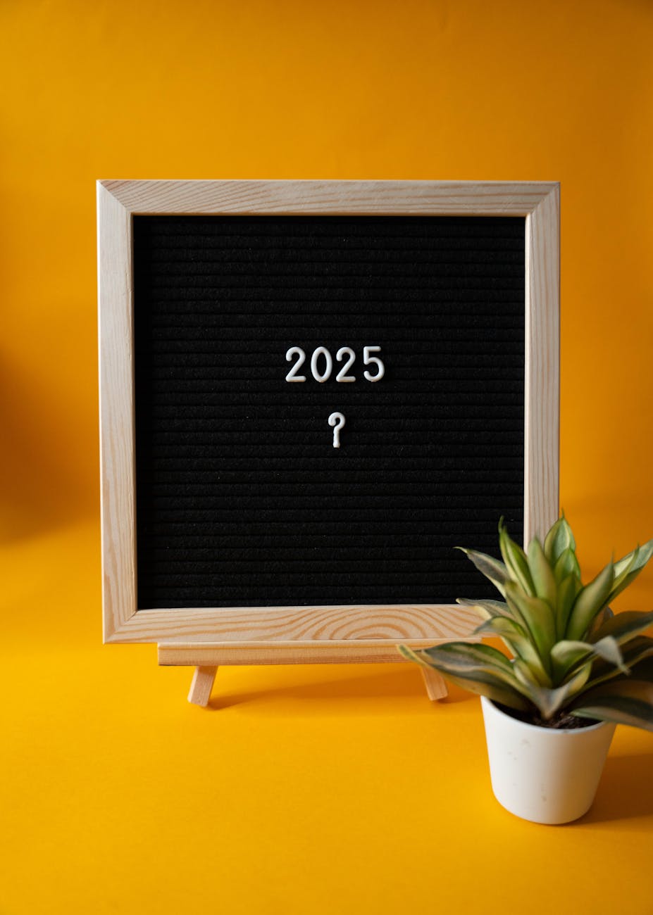 2025年公開予定の注目映画を月別にチェック