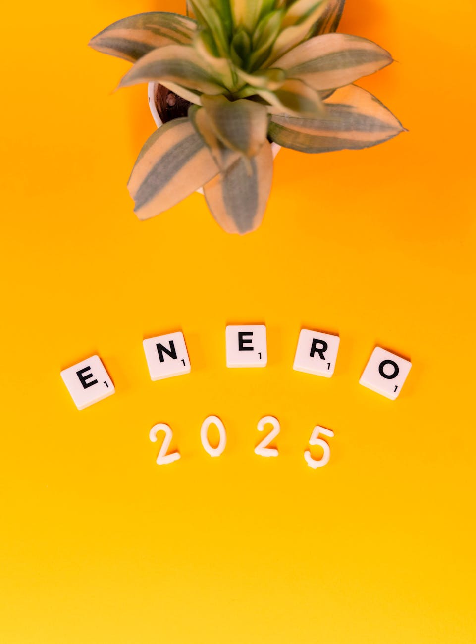 2025年のホラー映画は注目作が豊富